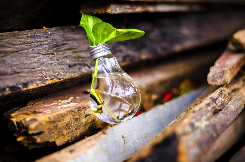 Recycle water green