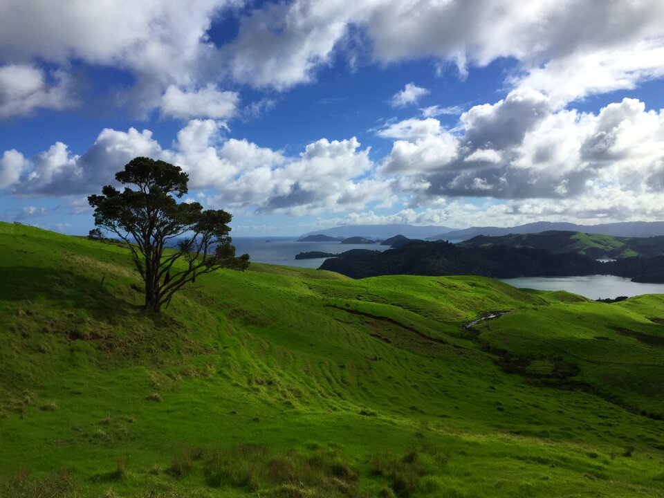 Panorama green magnificent