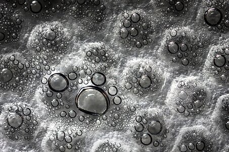 Wet white macro