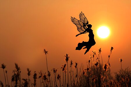 Sun sky elf