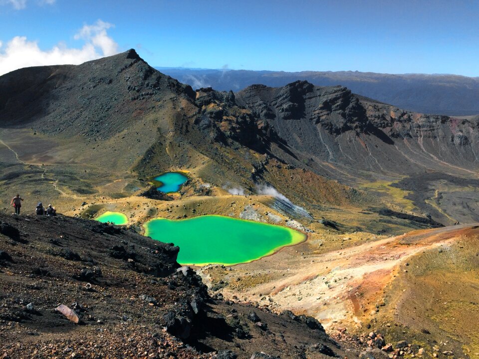 New zealand water suffers