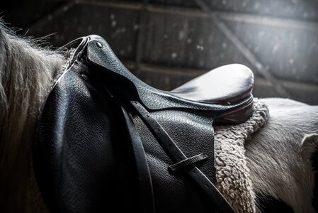 Ride racing gray horse