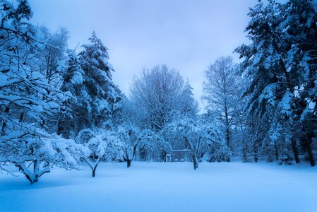 Garden three freezing temperatures