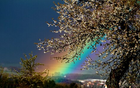 Background season rainbow
