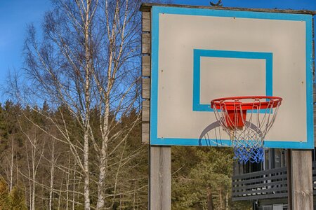Wood basket brown basketball