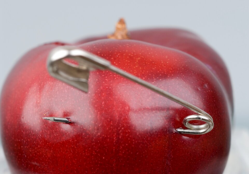Apple security safety pin