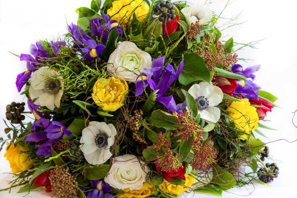 Colorful give spring flowers
