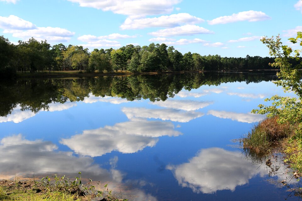 Nature water landscape