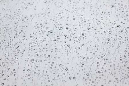 Wet rain raindrop photo