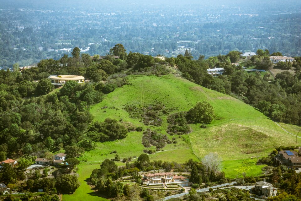 Tree hill travel