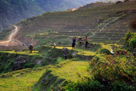 Mountain travel sapa