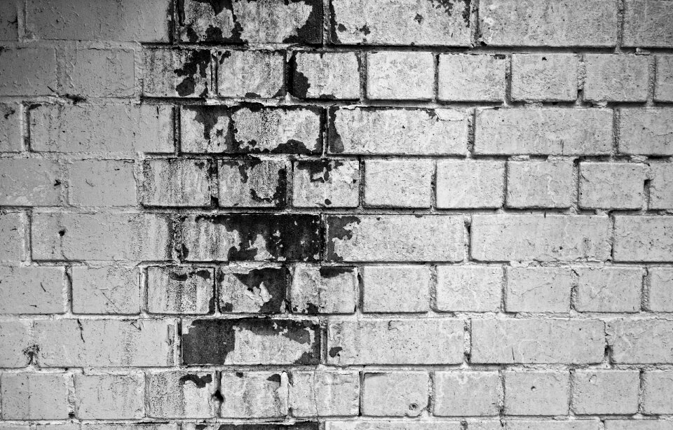 Mold brickwork masonry photo