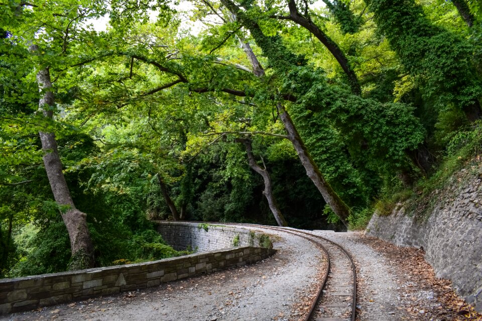 Nature railway scenery