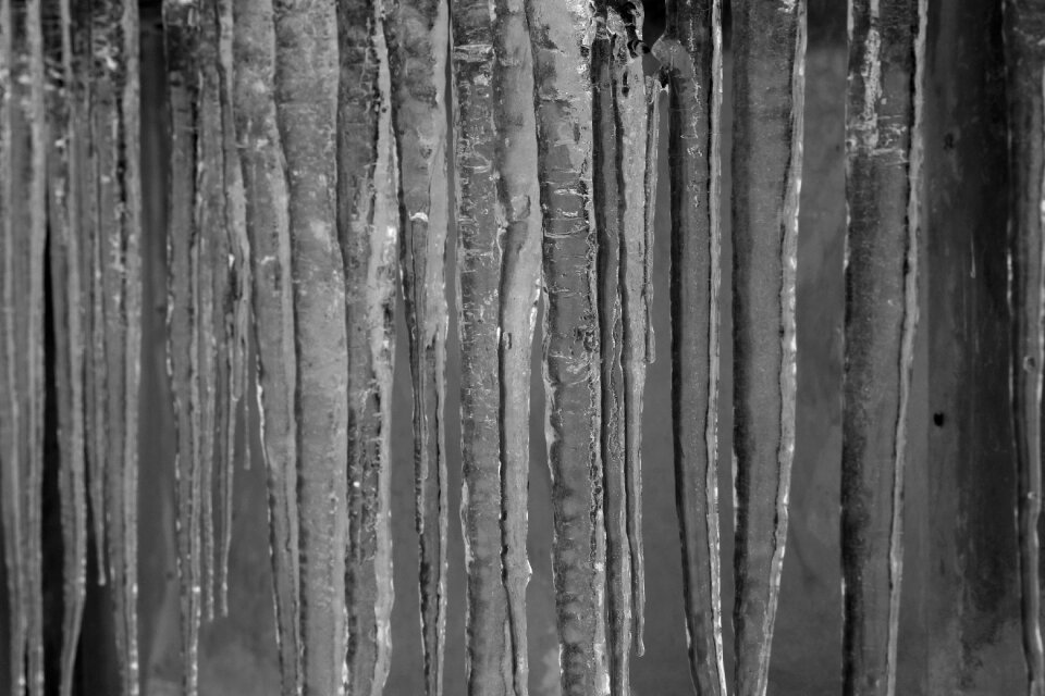 Icicles cold winter photo