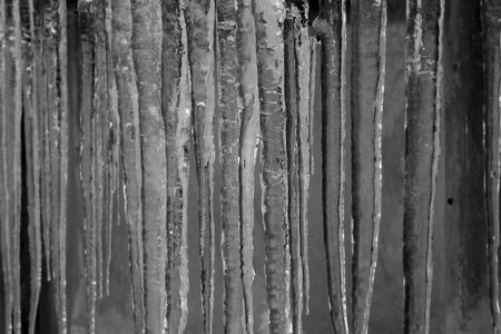 Icicles cold winter
