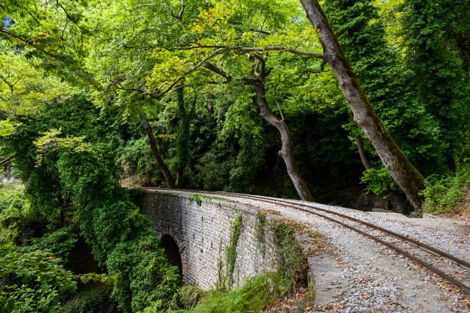 Nature railway scenery