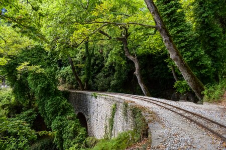 Nature railway scenery