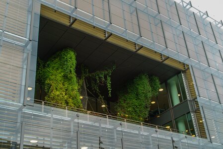 Tree on the building building crystal building