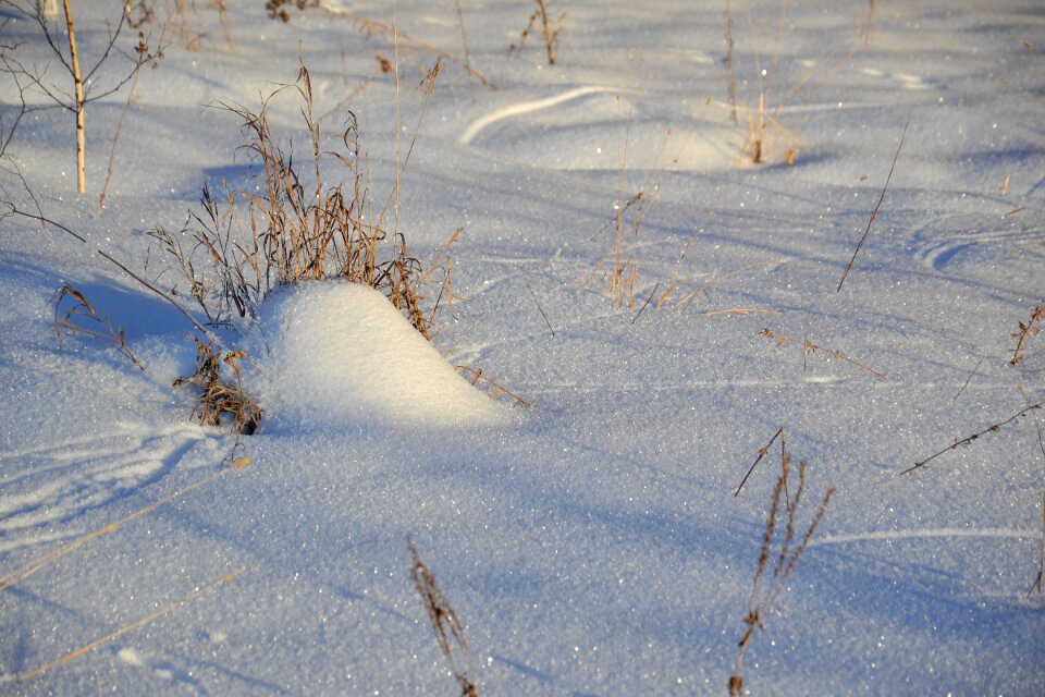 Nature footprints in the snow snowdrifts
