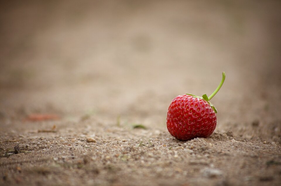 Red sweet delicious photo