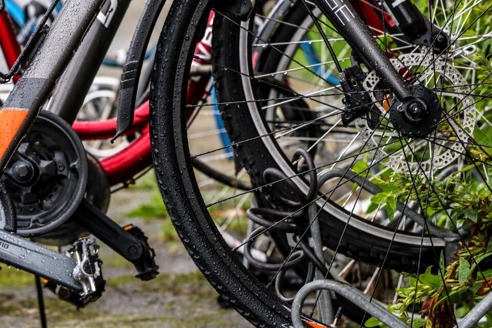 Bike wheels growth