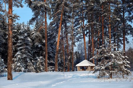 Snow landscape russia photo