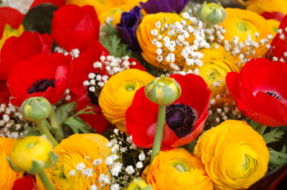 Flower floral bouquet de fleurs