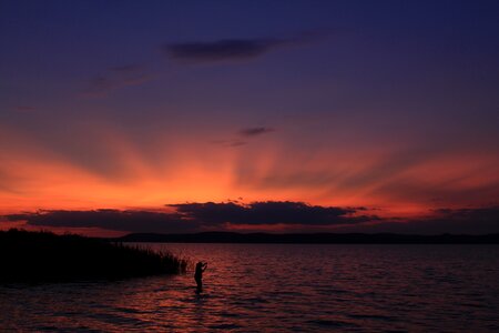 At night nature night picture photo