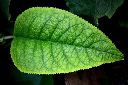 Environment approach freshness