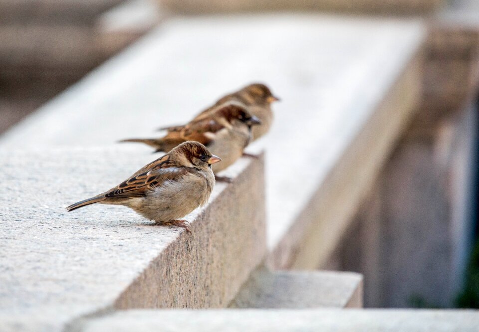 Three flying concrete