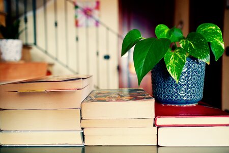 Culture plants teacher