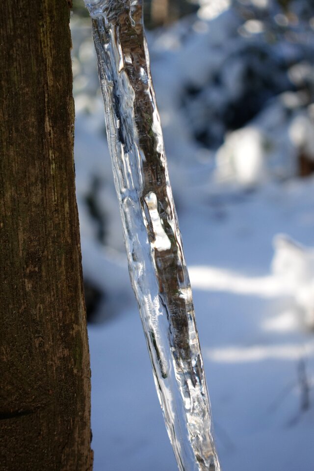Winter cold rattling