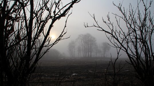 Landscape outdoor denmark