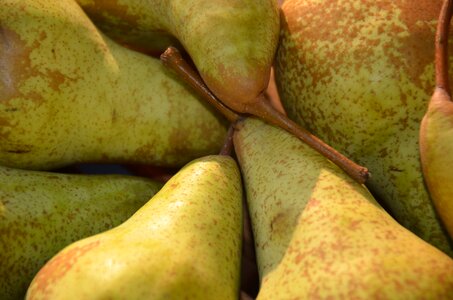 Fruit pera green