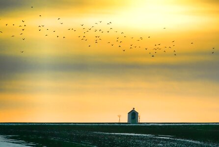 Flock of birds sky chapel