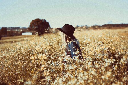 Flowers fedora summer photo