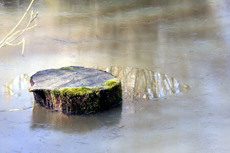Art nature reflection
