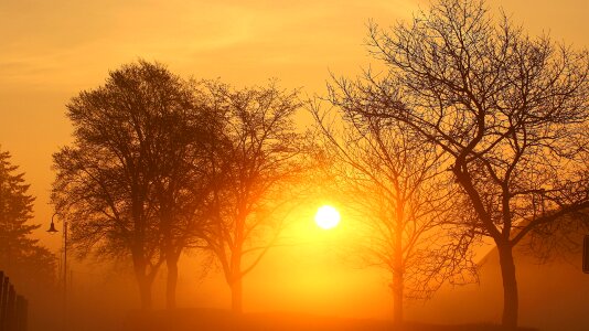 Nature morgenstimmung backlighting photo