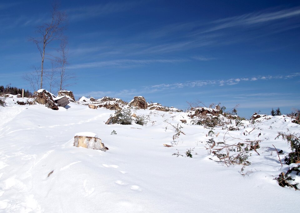 Mountain ice frost