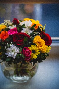 Nature petals jar photo