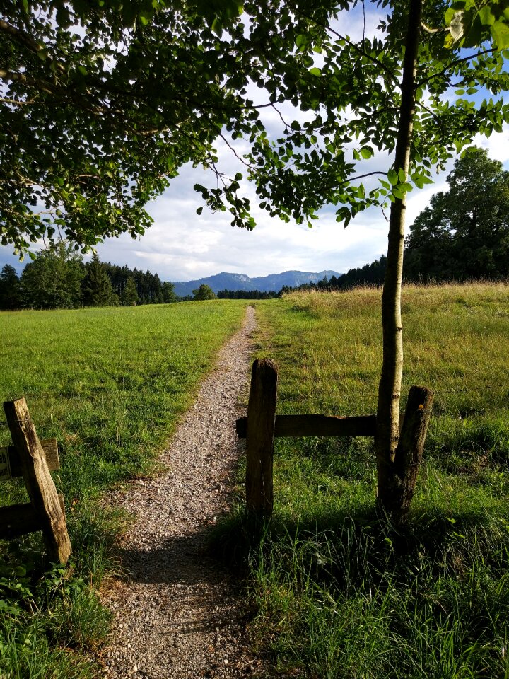 Nature exp outdoor