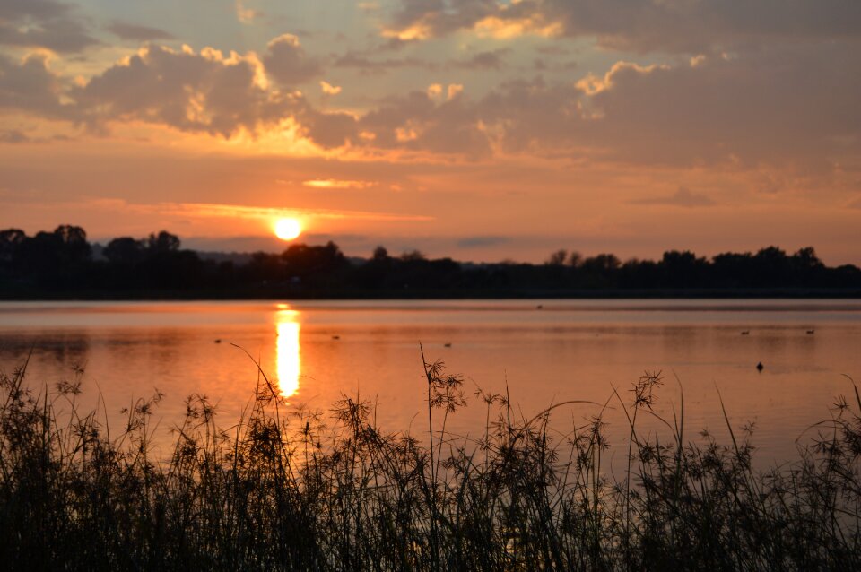 Dawn nature reflection