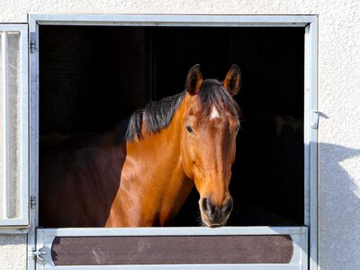 Box sun brown photo