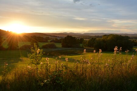 Nature grass dusk photo