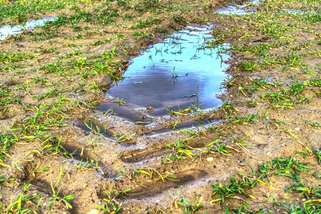 Water puddle mirroring reflection photo