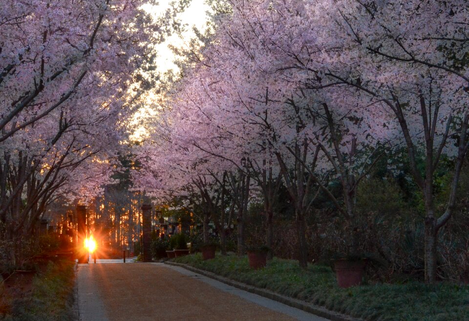 Season nature sunrise