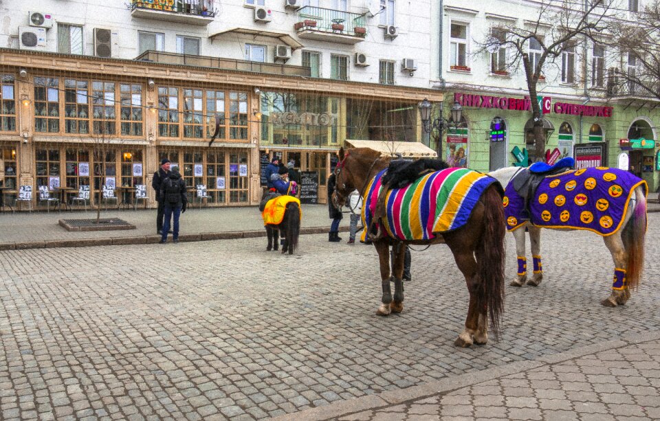 Barabashevsky horse people