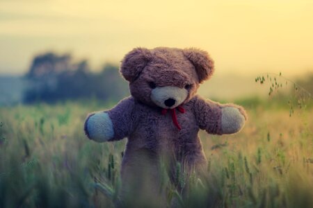 Kid field grass