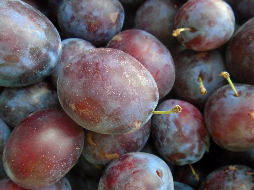 Purple sweet summer fruit