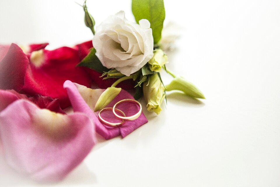 Love scam love rings